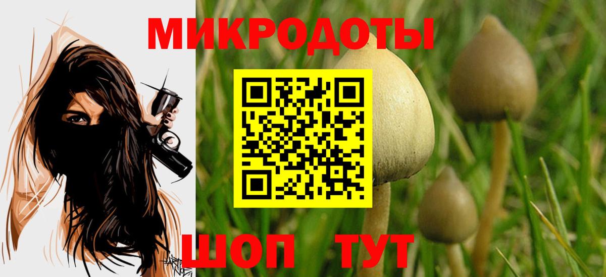 Галлюциногенные грибы Cubensis Октябрьский