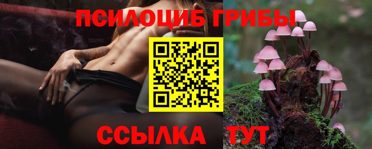 Октябрьский  Галлюциногенные грибы мухоморы  Вход с VPN  Псилоцибиновые грибы GOLDEN TEACHER 