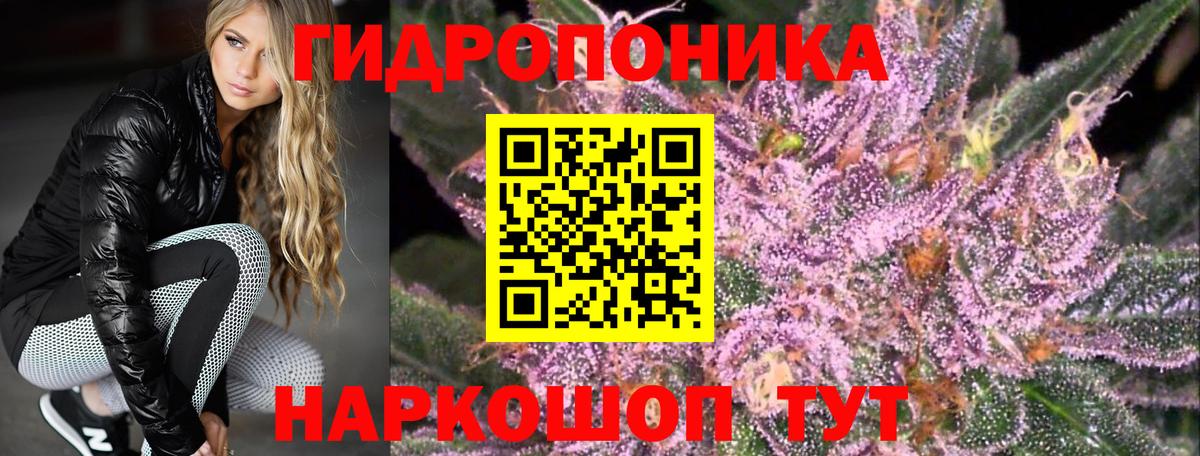 Бошки марихуана конопля Октябрьский
